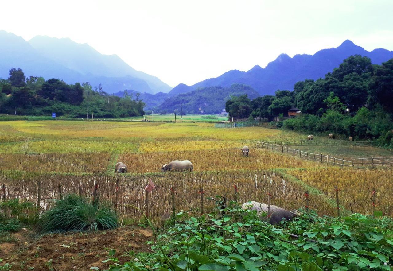 Meadow Mai Chau Homestay Exterior photo