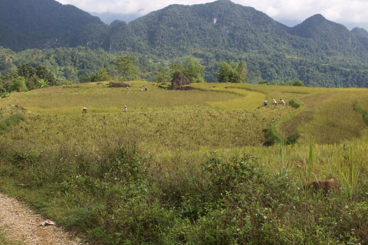 Meadow Mai Chau Homestay Exterior photo